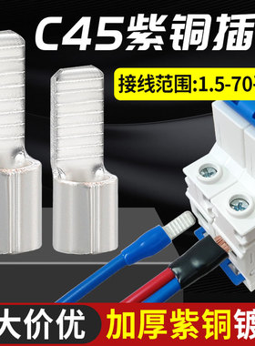 c45空开插针插片铜鼻子电线接头空气开关冷压接线端子铜线鼻子