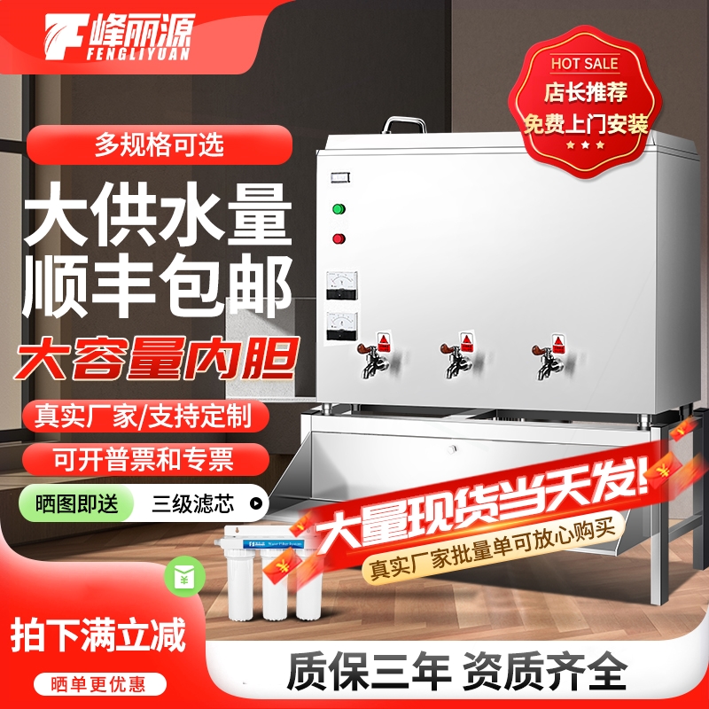 峰丽源大型饮水机商用开水器电热