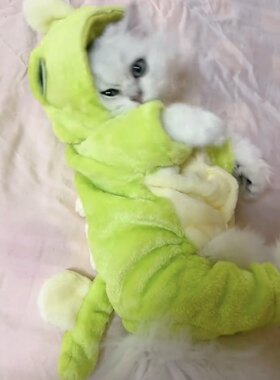 宠物小猫恐龙衣服狗狗可爱变身恐龙装小型犬泰迪比熊博美加厚保暖
