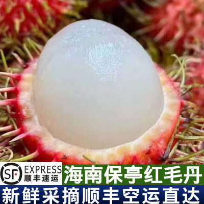 海南保亭红毛丹7号精选大果