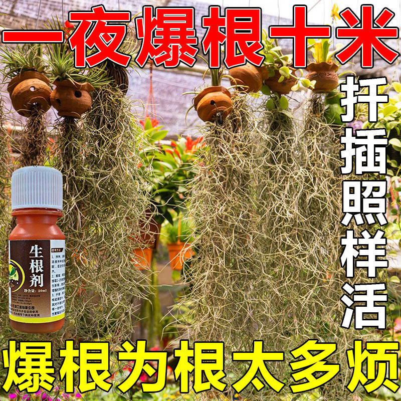 快速生根液植物移栽扦插生根水营养液植物通用强力多肉大树生根剂