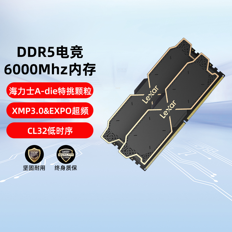 雷克沙DDR5内存条32GB（16GBx2）6000台式机电脑双通道马甲条套装