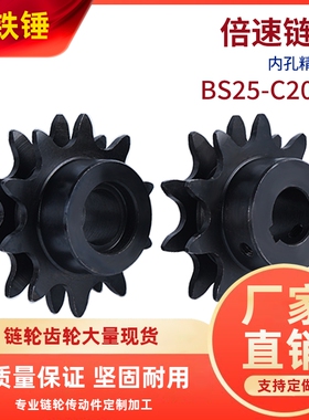 2.5倍速链轮BS25-C206BWESP3.4.5主动轮 C208AC210AC212A倍速链条