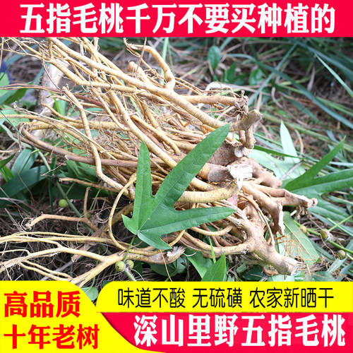 山野五指毛桃干农家正品药材煲汤