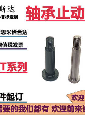 轴承止动销BKT31/32/36内六角带肩型铰链销304/45钢粗牙发黑镀镍