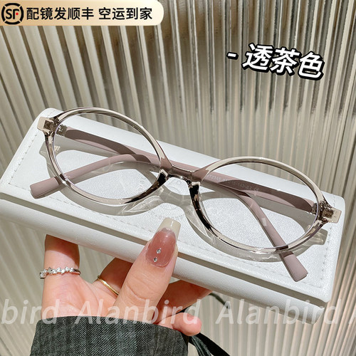 韩版复古超轻TR大框书呆子眼镜女