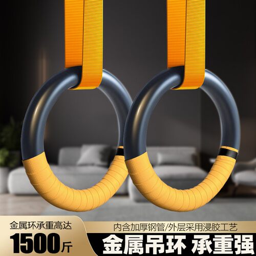 天郎派金属吊环家用健身运动器材