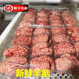 新鲜羊脑 4斤羊上脑羊脑花冷冻羊脑髓羊脑子羊杂饭店火锅商用包邮