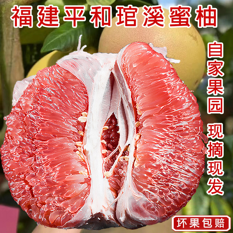 福建平和琯溪三红蜜柚当季新鲜孕妇水果红心柚子正宗红肉密柚