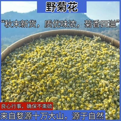 婺源大山野菊花秋季新货质优味浓