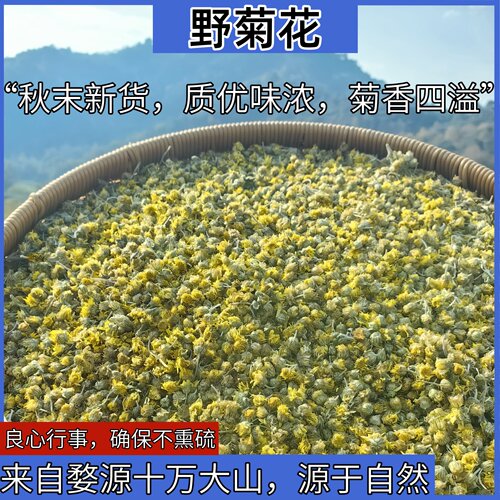 婺源野菊花苦小米菊干花非特级野生泡水非中药材胎菊茶