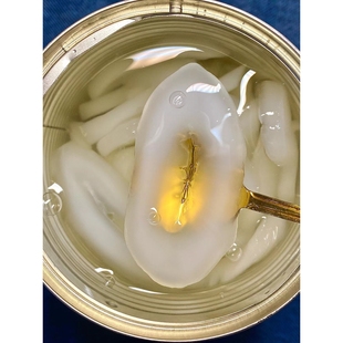 泰国糖水海底椰罐头水妈妈海底椰567g白玉丹罐头甜品西米露奶茶店