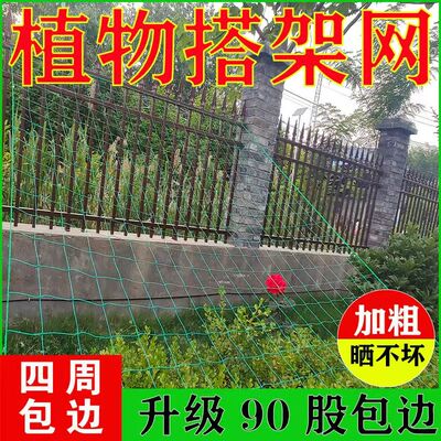 植物爬藤网攀援网园艺搭架网瓜果丝瓜苦瓜月季藤蔓花卉攀爬种植网