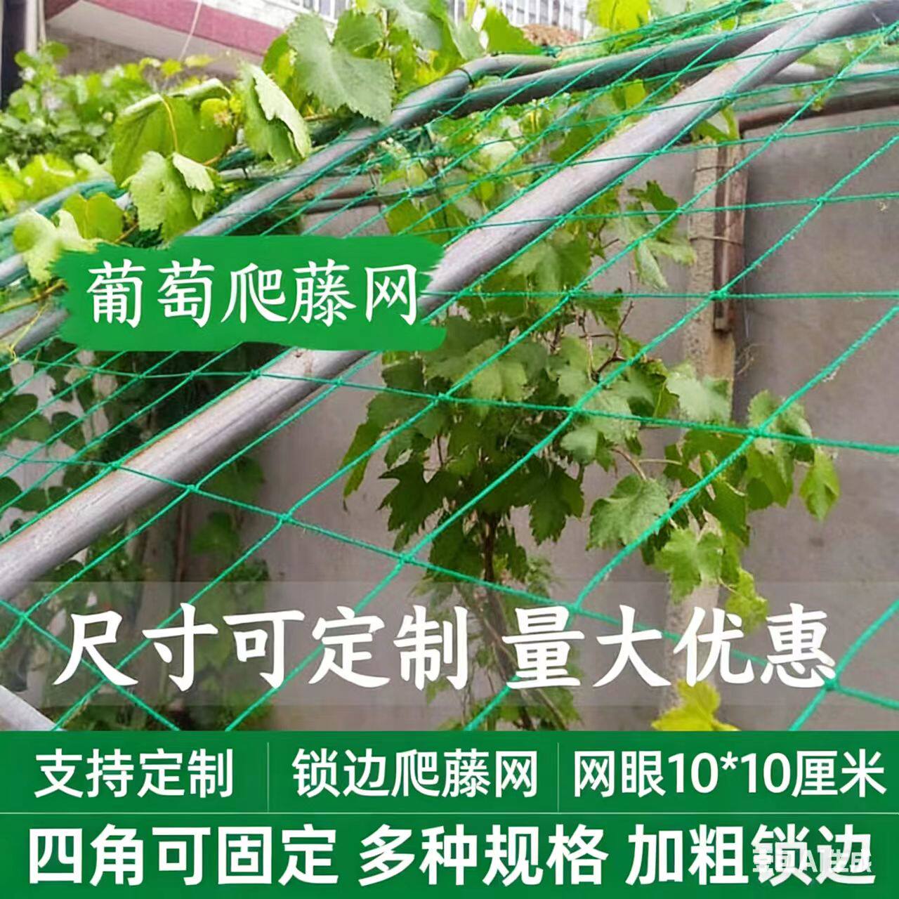 植物爬藤网丝瓜苦瓜瓜蒌葡萄百香果爬藤网攀爬网藤蔓植物搭架网