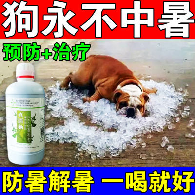 狗狗解暑神器防中暑药热射病宠物法斗沙皮金毛犬室内户外降温饮品