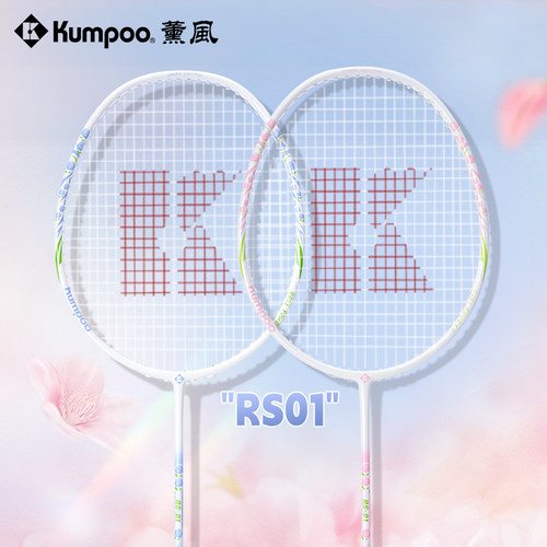 薰风羽毛球拍双拍套装碳铝复合碳纤维轻盈训练初学者熏风RS-01