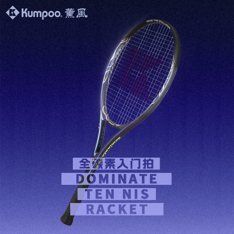 薰风26年款网球拍全碳素入门拍单人男女同款拍DOMINATE(KTE-801)