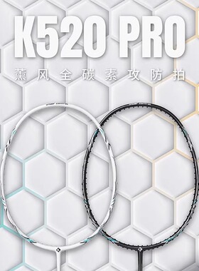 薰风羽毛球拍全碳素纤维超轻专业比赛训练耐打休闲拍熏风K520Pro