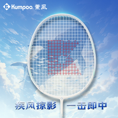 薰风羽毛球拍家庭用拍
