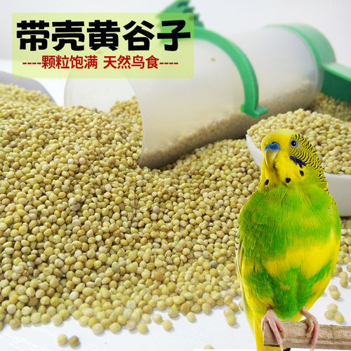 念悔新带壳黄谷子当季新粮