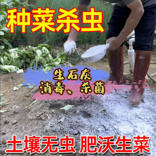 种菜生石灰粉非消毒剂非杀虫剂干燥剂改鱼塘良土壤石灰块除湿刷墙