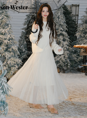 Maison Wester2025年冬季新品弹力腰头针织内衬保暖纱裙网