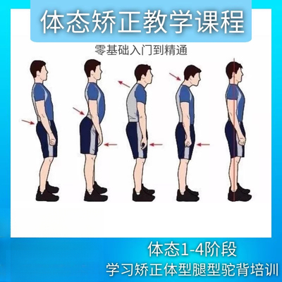 体态矫正课程评估指南纠正不良习惯锻炼康复自学健身运动资料教学