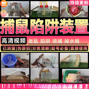 抓老鼠捕鼠陷阱装 置短视频思维号百科知识号热门高清视频剪辑素材