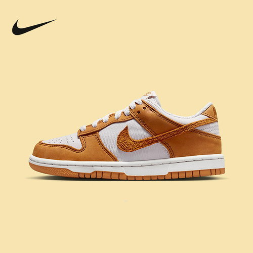 耐克Nike Dunk 低帮运动休闲滑板鞋童鞋轻便复古篮球鞋HQ9293-001