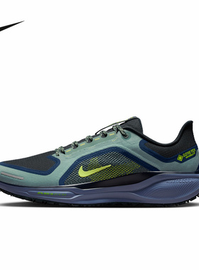 Nike耐克男鞋飞马Pegasus 41 GTX防泼水运动鞋跑步鞋FQ1356-006