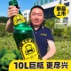 送货上门德伦堡精酿啤酒新品 巨无霸8度原浆10L大桶装 天锁鲜