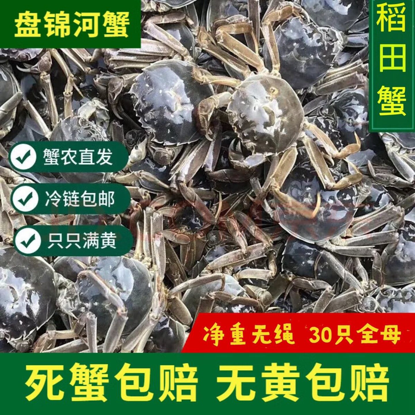 正宗盘锦河蟹鲜活1一元蟹稻田蟹2二元蟹大闸蟹全母小螃蟹活蟹保肥