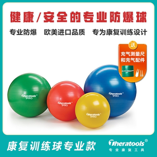 theratools康复巴氏球成人健身儿童感统训练球加厚防爆专业大龙球