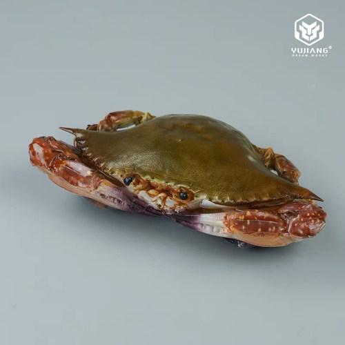 御匠梦工厂仿真呛蟹模型梭子蟹