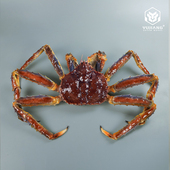 仿真帝王蟹模型俄罗斯蓝帝王蟹模具螃蟹雪蟹松叶蟹假海鲜水产道具