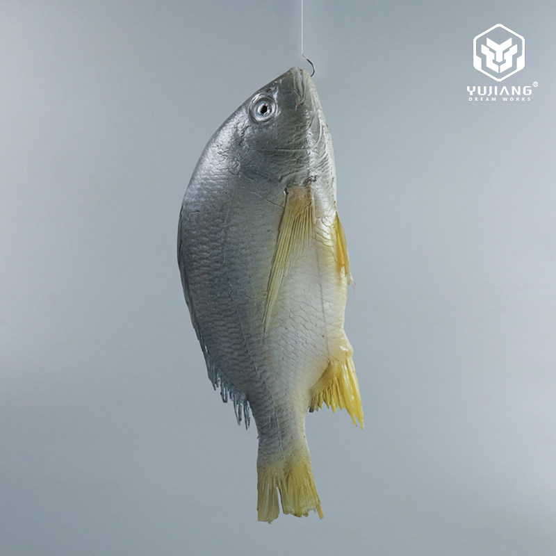 仿真黄翅鱼模型假海鲜水产深海鱼海洋博物馆摆件淡水鱼黄鱼模具