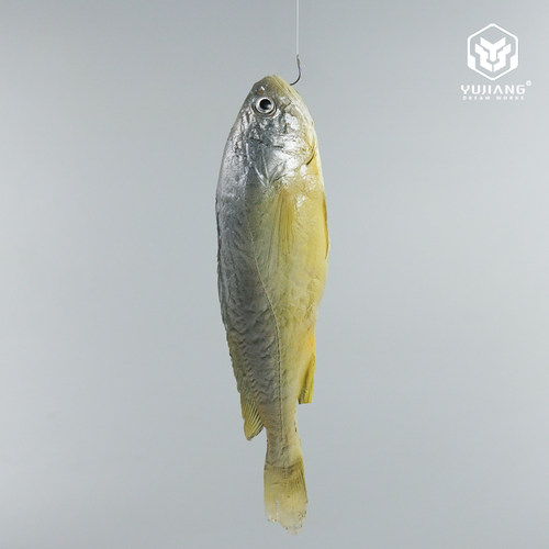 仿真小黄花鱼模型假海鱼海鲜道具