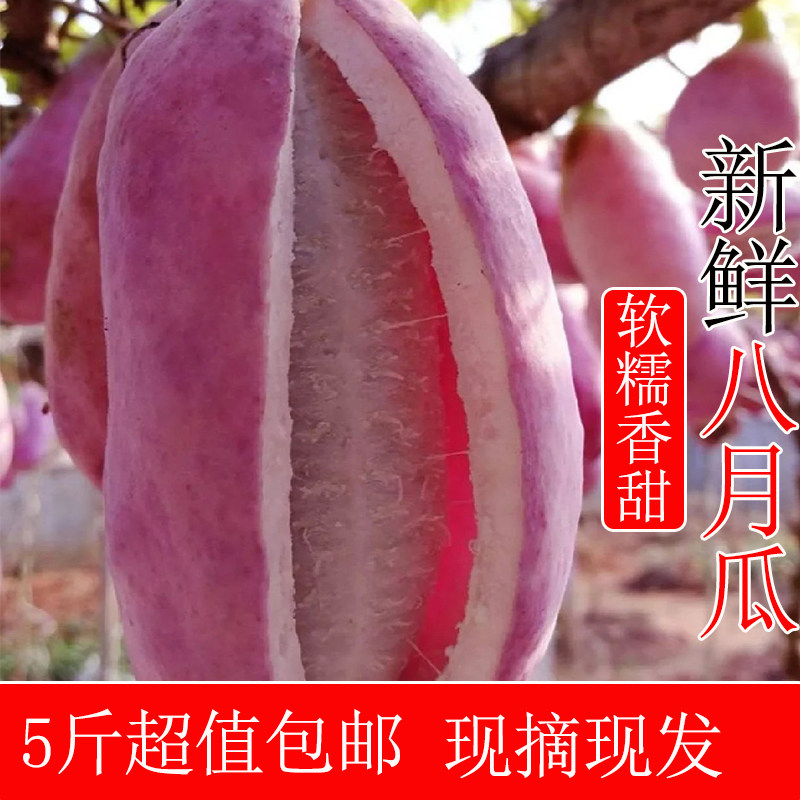 新鲜八月瓜甜瓜香甜软糯可口