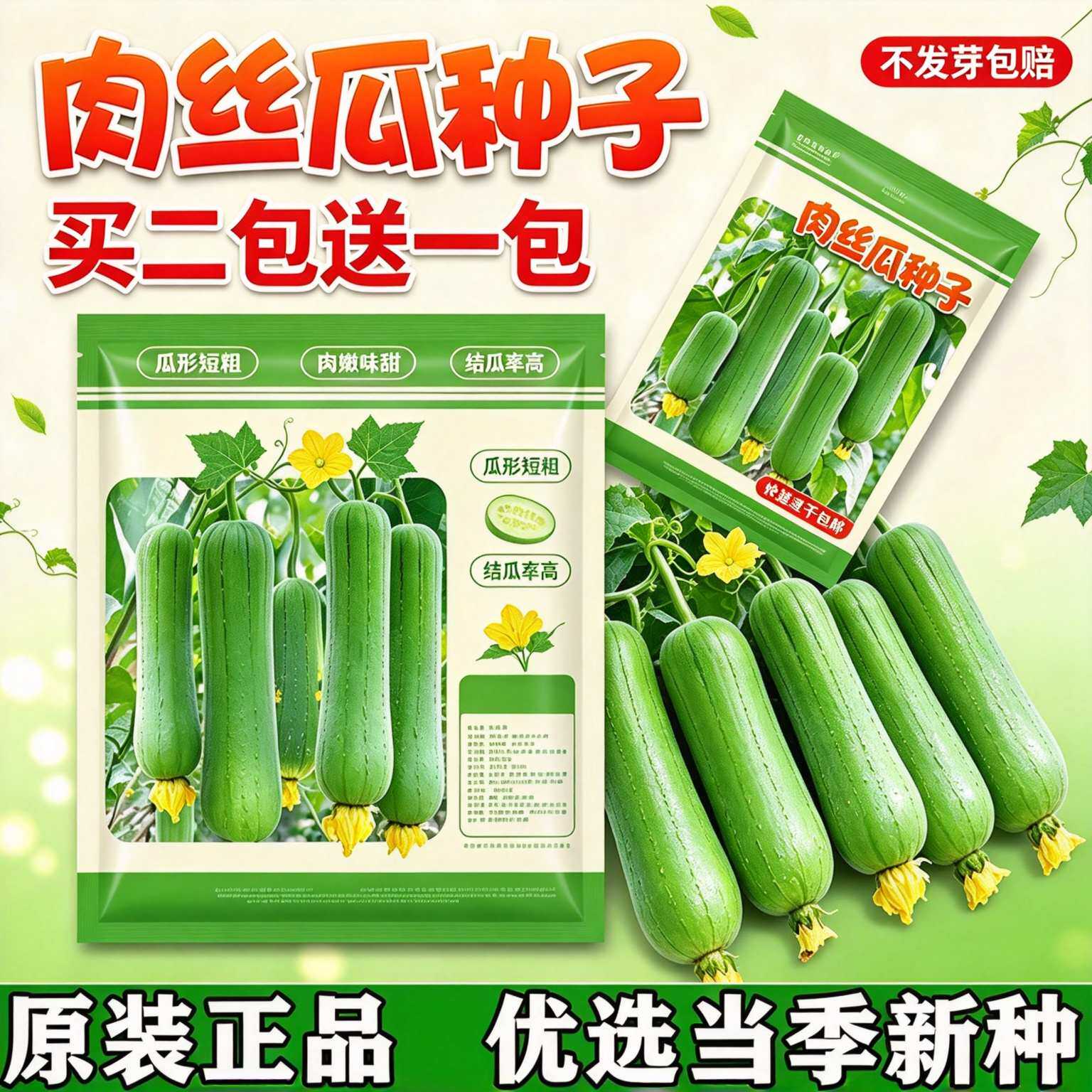 【买二送一】肉丝瓜种子大肉丝瓜农家春季易种植瓜果蔬菜种子大全