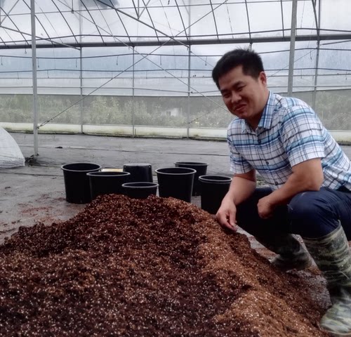 花卉植物专用配方土-1加仑和2加仑 两种规格