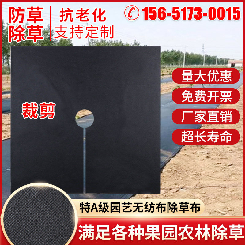 农用黑色可降解生态无纺布防草布切片耐用农用果园大棚无纺布地钉,鲜花速递/花卉仿真/绿植园艺,其它园艺用品,淘宝优惠券,粉丝福利购,淘宝优惠卷