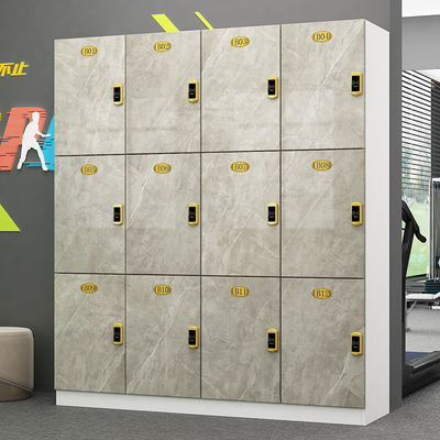 健身房更衣柜洗浴中心带锁收纳柜