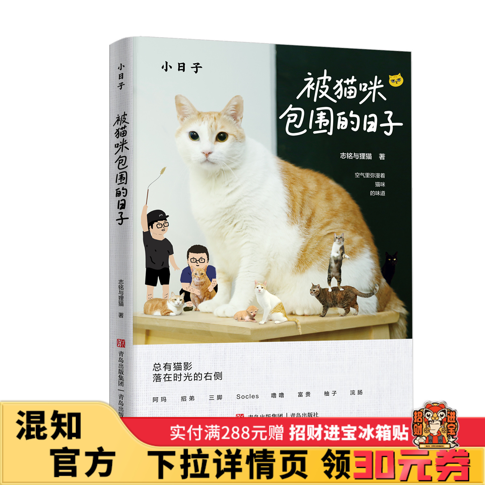 【混知甄选】小日子系列 被猫咪包围的日子 刻木头 露营去 扎进自然的怀抱 让心灵在原野中自在道遥 青岛出版社