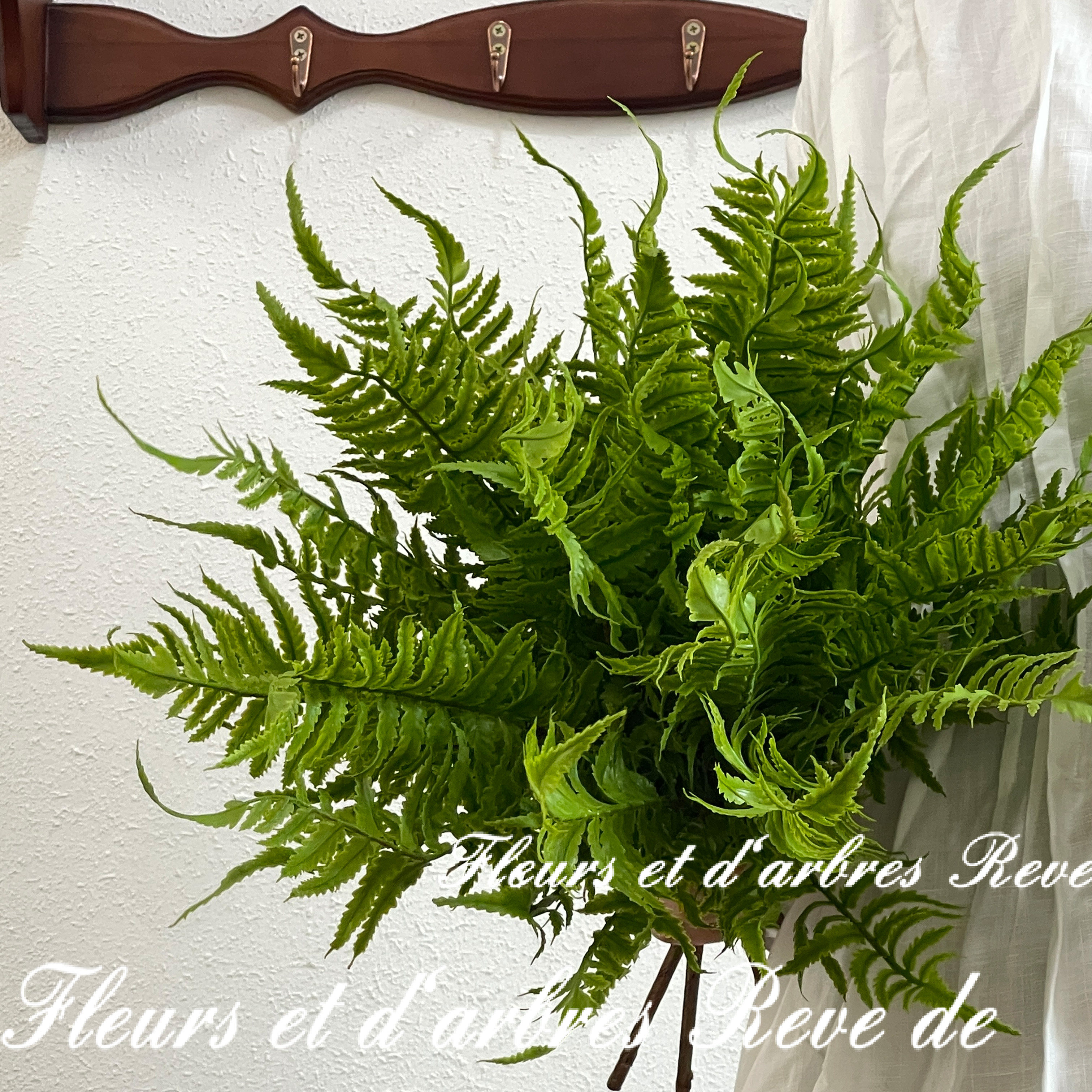 仿真波士顿蕨草绿植肾蕨类盆栽植物景观造景小草逼真造景摆件装饰