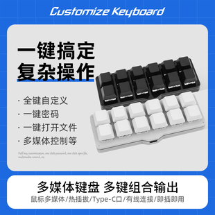 12键2行usb自定义机械小键盘键盘宏可编程快捷键一键密码游戏辅助