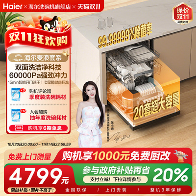 海尔麦浪洗碗机20套智能开关门