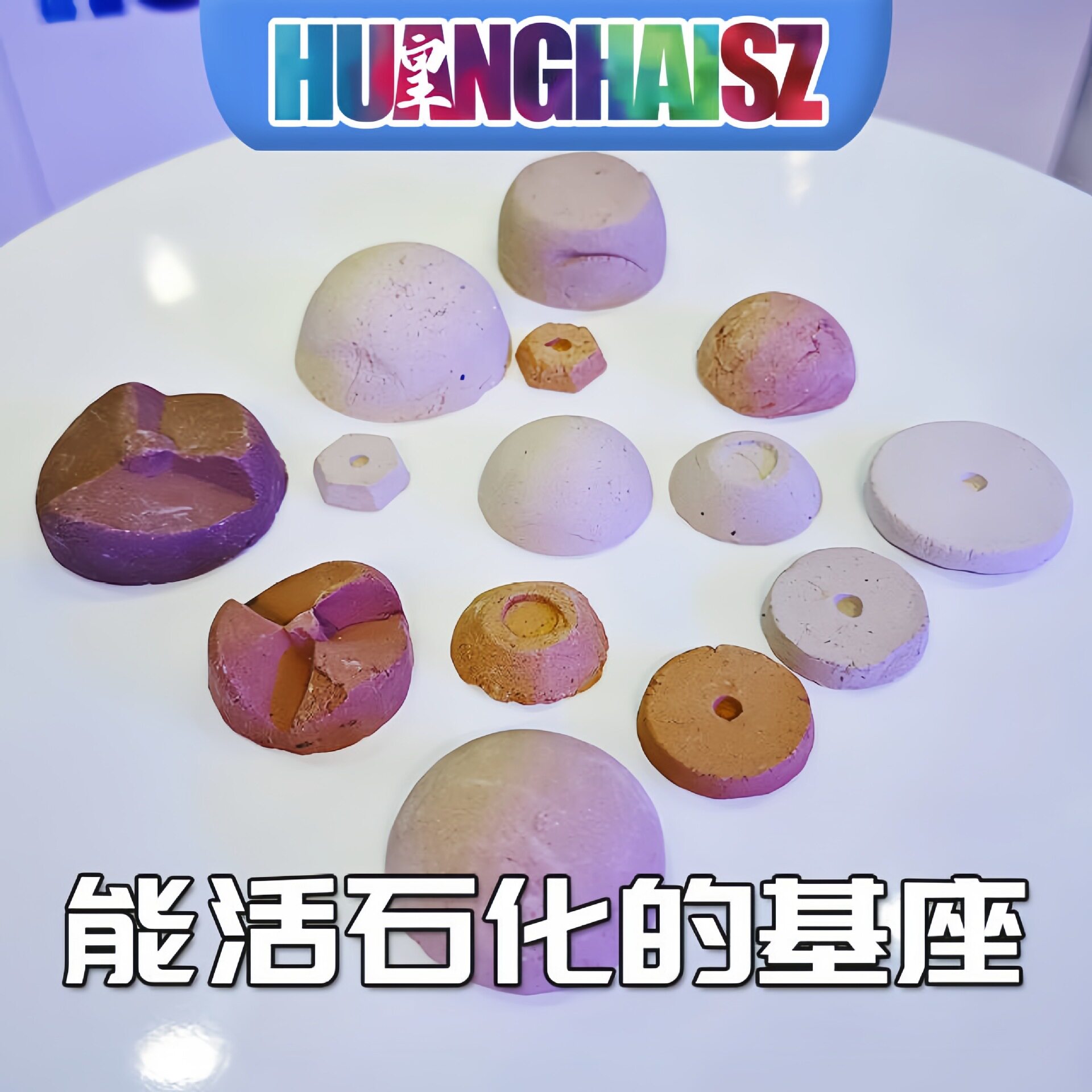皇海水族珊瑚基座纽扣繁殖底座硬其它水族用具设备