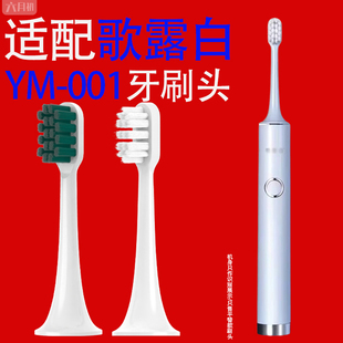 适配for歌露白/时光颜究所电动牙刷头YAMAN雅萌YM-001专用替换头