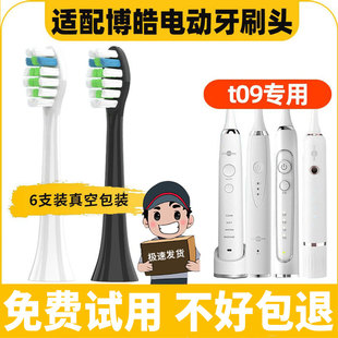 适配博皓prooral电动牙刷头替换头RST2081 T31成人情侣通用 T09