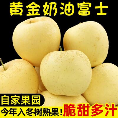 脆甜正宗烟台黄金奶油富士苹果